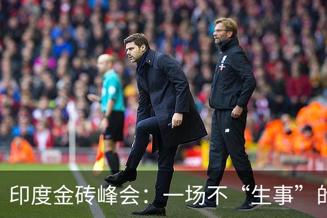 印度金砖峰会：一场不“生事”的外交大秀